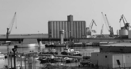 20051611