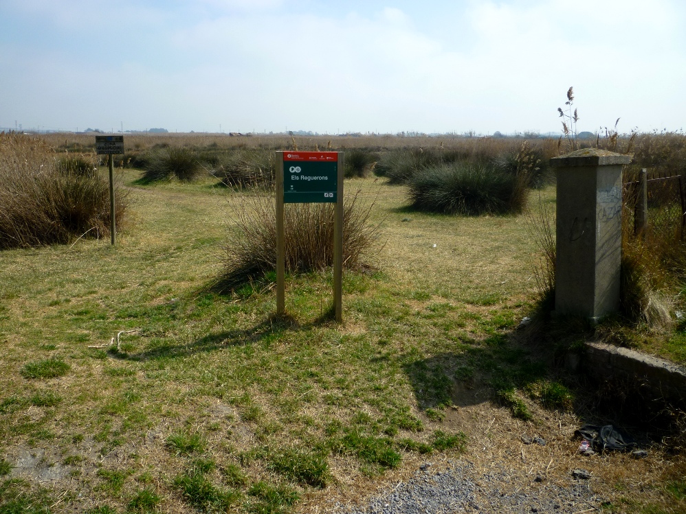 Sector dels Reguerons, propietat del Barça, al Parc Agrari del BaixLlobregat Foto: Moisès Jordi